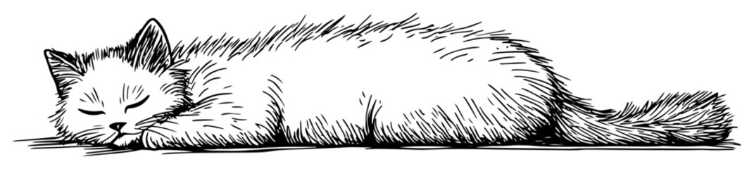 sleeping fluffy cat drawing in black and white