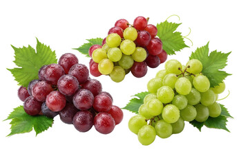 Fototapeta premium Plump, ripe red, green, and mixed grapes with water droplets and leaves on seamless transparent background, no shadows, copy space. Concept of natural freshness.