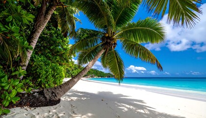 Fototapeta premium Tropical paradise beach scene (2)