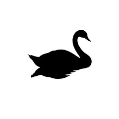 elegant swan swimming silhouette icon black and white