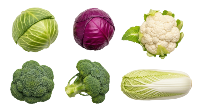 Top-down, ultra-realistic studio shot of vibrant, fresh cruciferous vegetables including cabbage, broccoli, cauliflower, kale, on pristine transparent, concept of healthy eating