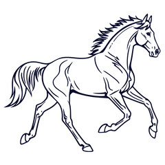 Elegant outline drawing of a powerful horse in full stride showcasing its muscular physique and flowing mane and tail against a clean white background
