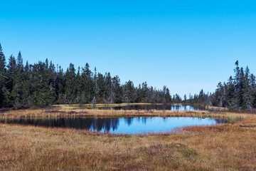 Toputta Lakes from the Svartdalstjerna Primeval Forest Nature Reserve of the Toten&aring;sen Hills, Norway, in September 2025.