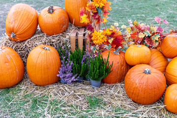 Rustic Autumn Harvest Still Life with Pumpkins, Hay, and flowers