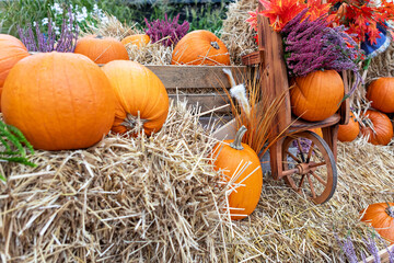 Rustic Autumn Still Life with Pumpkins, Hay, and Wooden Wagon in Farm Setting