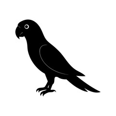 parrot silhouette on white background