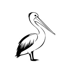 Fototapeta premium Pelican. Pelican simple black and white line art vector logo