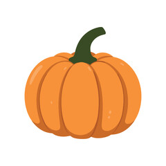 Pumpkin simple orange illustration