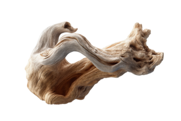 Intricate natural driftwood sculpture on black background, cut out