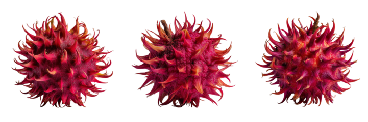 Set of Fresh rambutan fruit with vibrant red spiky skin and soft green fibers on transparent png background. Ai generated