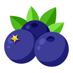 vector illustration of fresh blueberries