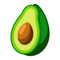 illustration of avocado fruit