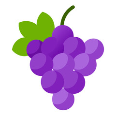 bunch of grapes vector illustration