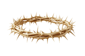 Crown of thorns symbolizing sacrifice and faith on black background, cut out