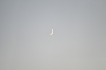 Quarter Moon