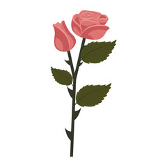 Dusty pink rose. Flower and bud on one stem. Vector illustration isolated on white background.