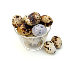 Quail eggs are isolated on a white background