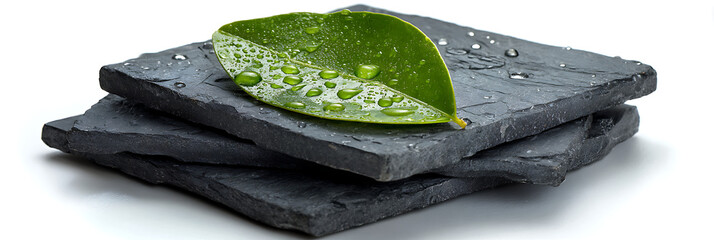 Stack of three dark gray square slate coasters, topped with a single green leaf covered in water droplets, set against a clean white background, conveying natural freshness and elegance.

