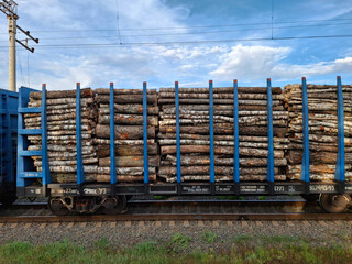 A freight train carries timber. Transporting tree trunks