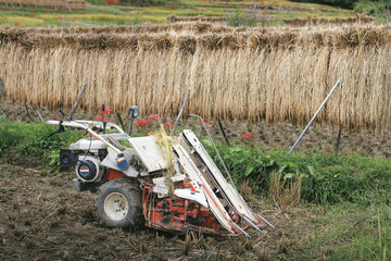 農機具とはさがけされた稲
