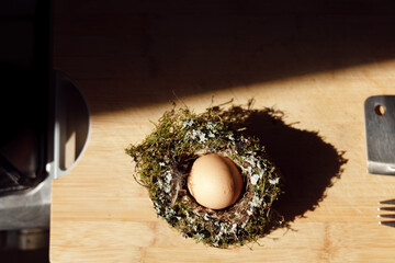 A brown chicken egg nestled in a bird's nest, illuminated by the morning sun. A country breakfast.