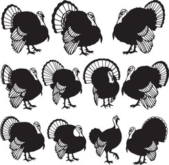 Turkey Silhouette Collection, Black and White Vector Set of Ten Stylized Poses with Distinct Tail Feather Designs