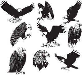 Eagle Silhouette Collection, Black and White Vector Set of Nine Poses Including Flying, Perching, and Landing