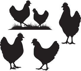 Chicken Silhouette Set, Black and White Illustration Featuring Five Poses with Grass and Natural Stances