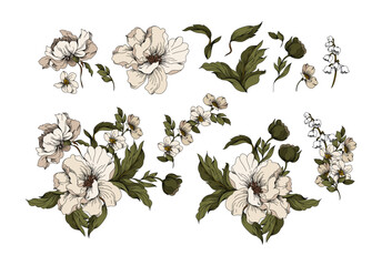 Flowers illustration set. Flowers and leaves collection