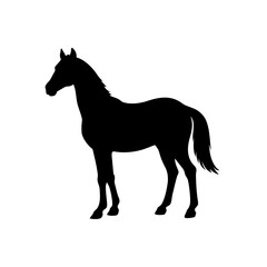 Brown Horse Silhouette Standing Tall Transparent Background
