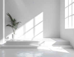 Minimalist white room with plant and steps