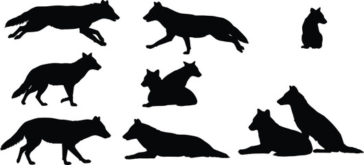 Wolf silhouette collection, eight wild animal poses, running, walking, sitting, standing, lying down, group posture, wildlife predator vector, cad drawing flat vector illustration