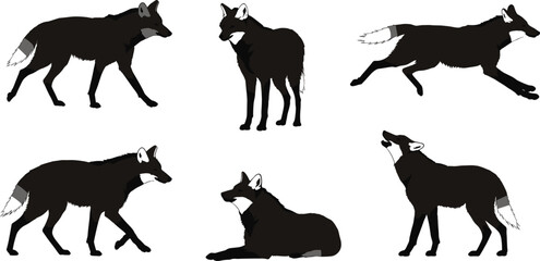 Wolf fox silhouette collection, wild animal vector, walking wolf, running fox, sitting wolf, howling fox, predator design, cad drawing flat vector illustration