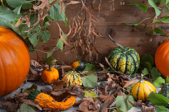 Herbstliche Halloween Dekoration mit K&uuml;rbis und Bl&auml;ttern auf Holz
