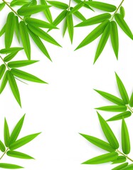 Vibrant green bamboo leaves form a rectangular frame against a stark white background, leaving a central blank space