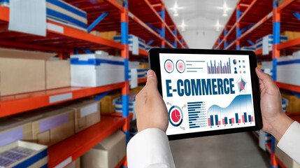 E-commerce data software provide modish dashboard for sale analysis to the online retail business