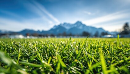 Close-up view of vibrant green grass with a backdrop of distant mountains on a clear day.
