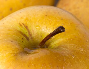 Close-up of a yellow apple with water droplets