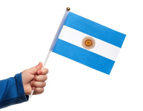 子供の手が小さなアルゼンチンの国旗を持っている。(Child's hand holding a small Argentina flag.)
