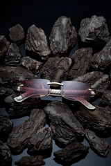 A pair of stylish glasses with tinted lenses sits elegantly atop dark rough stones. The contrast between the sleek design of the glasses and the rugged surface creates a striking visual effect.