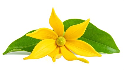 Bright yellow flower with green leaves