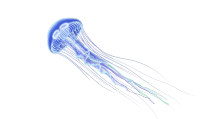 Glowing blue jellyfish floating in a gradient background.