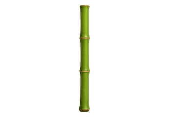 Fototapeta premium Bamboo stalk segment standing isolated on transparent background
