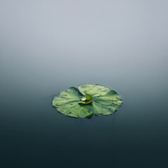 Solitary Green Lily Pad on Serene Gradient Water Surface, Minimalist Nature Scene.