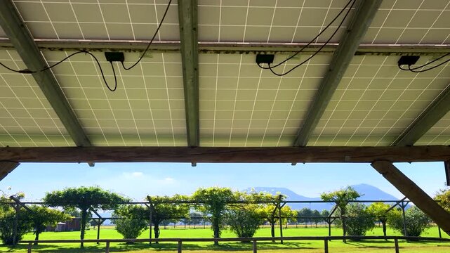 Pensiilina fotovoltaica sopra un prato verde