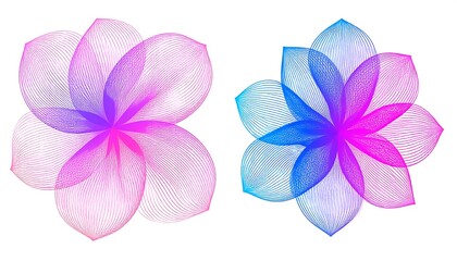 Abstract floral design, two stylized flowers in vibrant colors