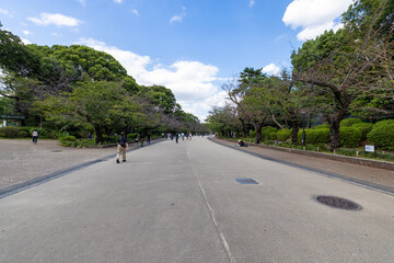 昼間の上野公園