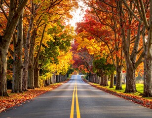 Naklejka premium Autumnal road lined with vibrant trees