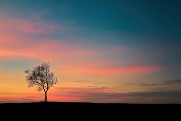 Obraz premium Solitary Silhouette Tree Against Vibrant Sunset Sky with Wispy Clouds.