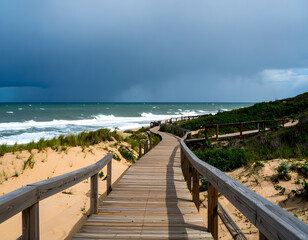Obraz premium Scenic Pathway Leading to Ocean with Dramatic Sky and Waves